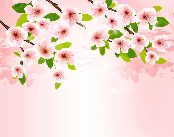 Fondo natural con brunch de sakura floreciente. Vector ilustra — Vector de stock