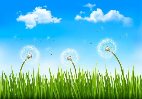 Nature background with dandelions. Vector. — Stock Vector