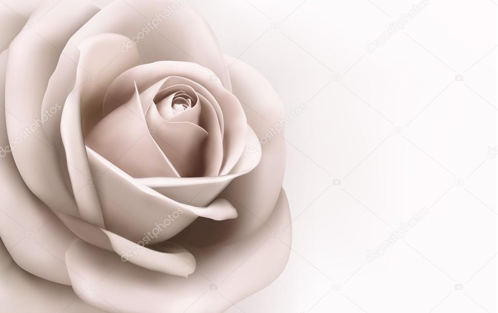 Vintage background with a beautiful pink rose. Vector illustrati