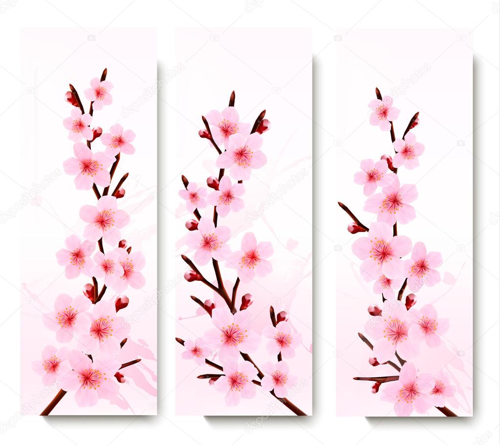 Three spring banners with blossoming sakura branches. Vector ill
