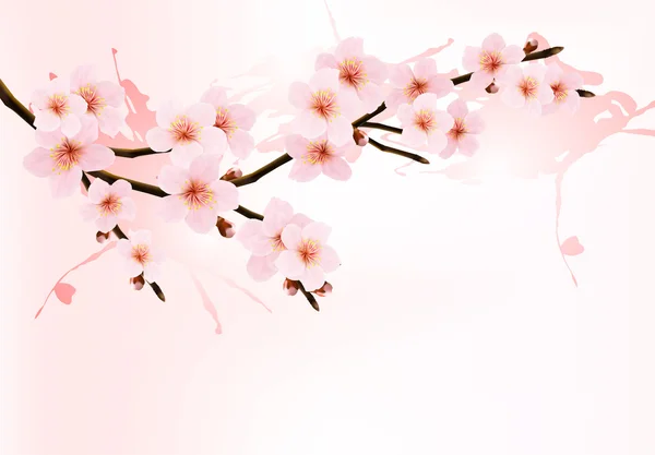 Fond naturel avec branche de sakura en fleurs. Illustrtra vectoriel — Image vectorielle