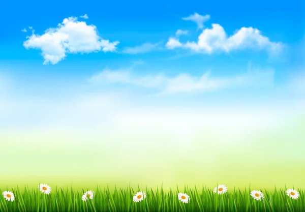 Summer nature background with green grass and sky . Vector. — Stock Vector