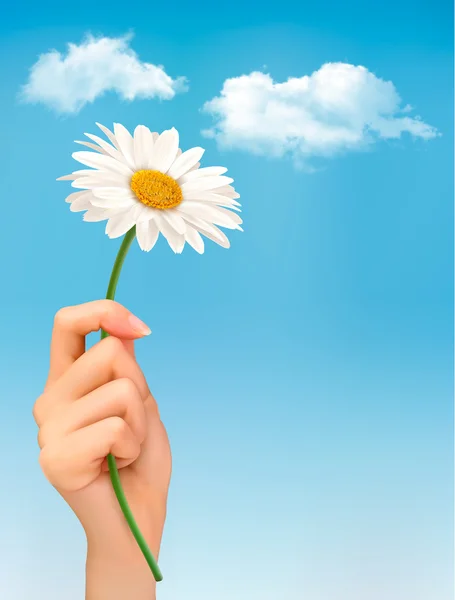 Beautiful white daisy in front of the blue sky. Vector. — Stock Vector