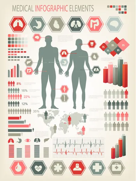 Elementos médicos infográficos. Corpo humano com órgãos internos . — Vetor de Stock