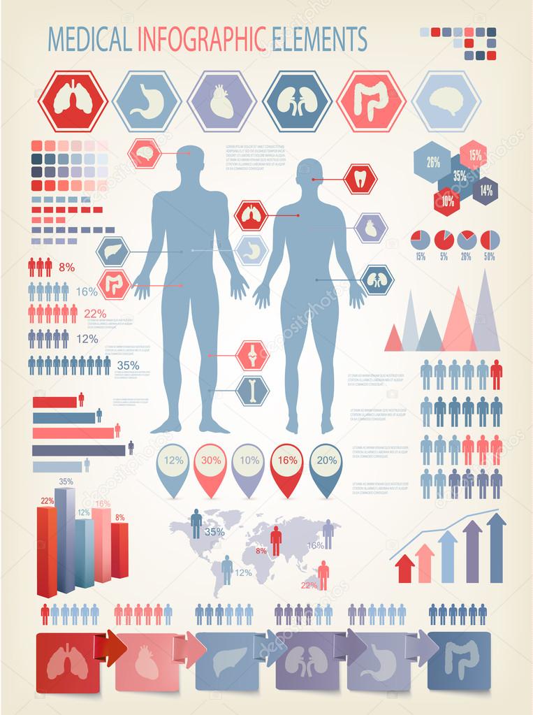 Medical infographics elements. Human body with internal organs. 