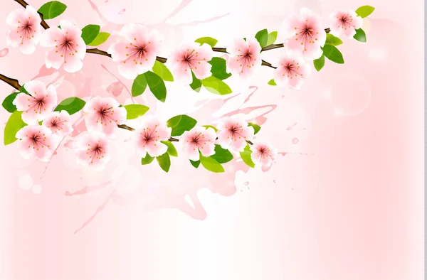 Fundo de primavera com ramos de sakura florescentes. Ilustre vetor —  Vetores de Stock