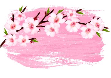 Pembe boya sakura dal afişi. Vektör. 