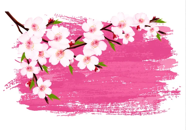 Pink paint sakura branch banner. Vector. — Stock Vector