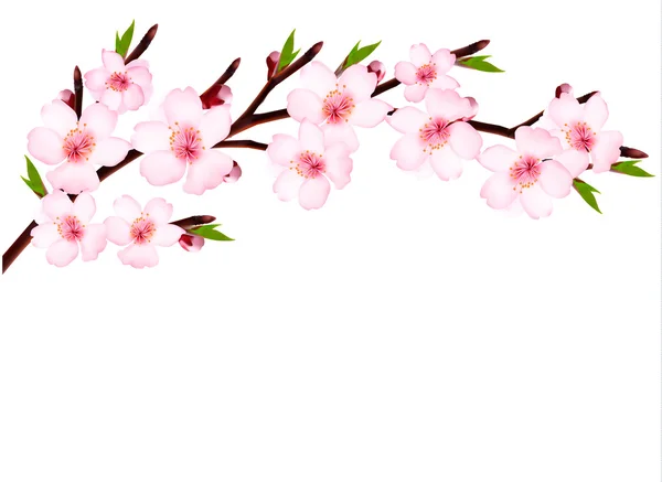 一朵朵树枝与花的春天背景春天 — 图库矢量图片