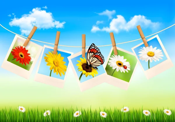 Natureza fundo com fotos de flores e uma borboleta. Vetor — Vetor de Stock