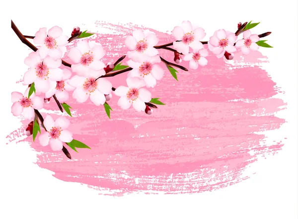 Pink paint sakura branch banner. Vector. — Stock Vector