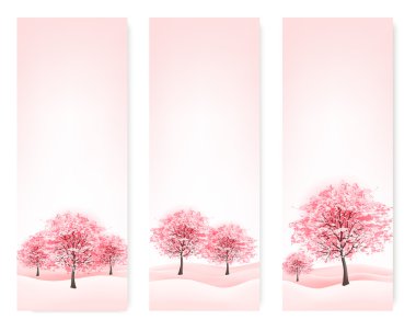 sakura ağaçların çiçek açması ile üç bahar afiş. vektör. 