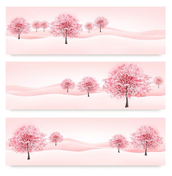 Three spring banners with blossoming sakura trees. Vector. 