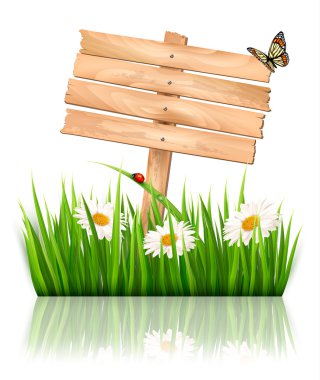 doğa arka planı yeşil çim ve çiçek ve tahta işaret v