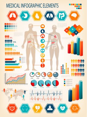 tıbbi infographics elemanları. insan vücudunun iç organları ile. 