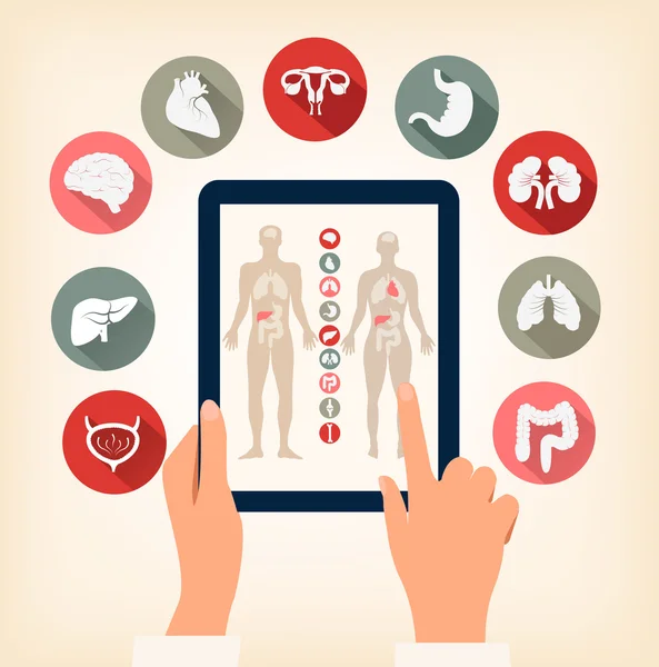 Two hands touching screen of a tablet with human organ icons. Ve — Stock Illustration Two hands touching screen of a tablet with human organ icons. Ve Royalty Free Stock Illustrations
