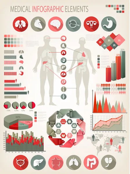 Elemente medizinischer Infografik. menschlicher Körper mit inneren Organen. — Stockvektor