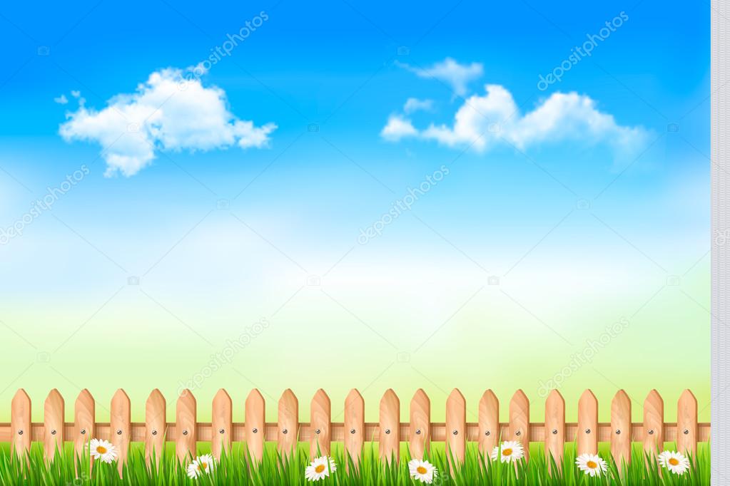Summer nature background with green grass and wooden fence . Vec