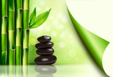 Spa arka plan bambu ve taşlar. vektör çizim. 