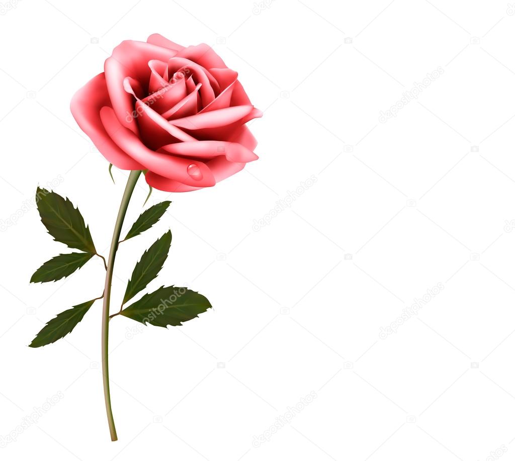 Flower background with a pink rose. Vector. 