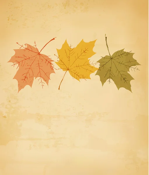Herbst Hintergrund mit Blättern. Vektor — Stockvektor