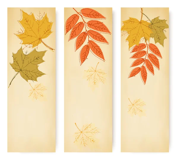 Drei herbstliche Banner mit bunten Blättern — Stockvektor