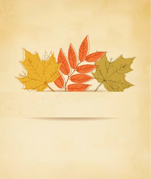 Autumn background with leaves. Vector. — Stock Vector