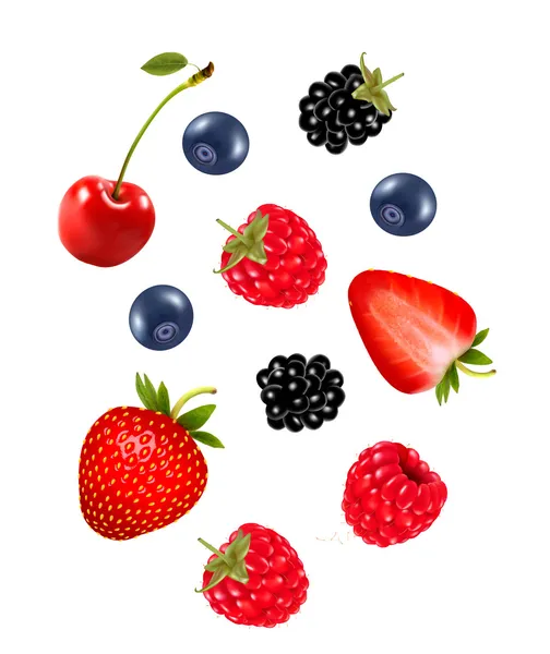 Set of juicy berries. Vector. — Stock Vector