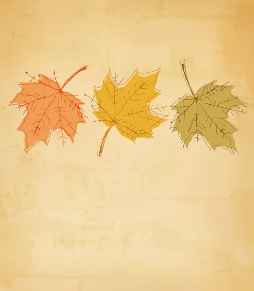 Retro sonbahar arka planı renkli yaprakları ile. vektör. — Stok Vektör