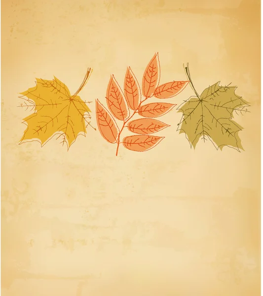 Retro autumn background with colorful leaves. Vector. — Stock Vector