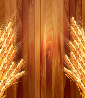 kulak buğday ahşap zemin üzerinde. vektör çizim