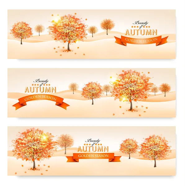 Fundo de outono com folhas coloridas e árvores. Vector illustra — Vetor de Stock