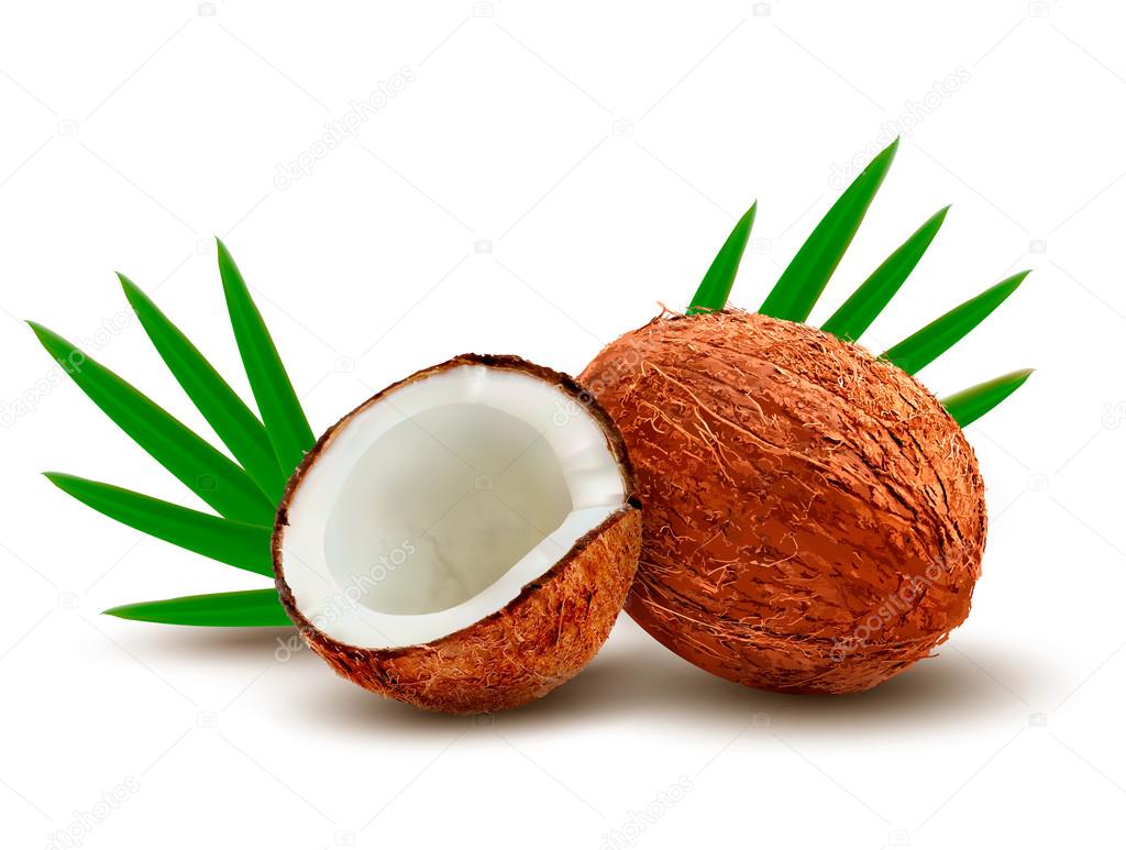 Coconut with leaves. Vector. 