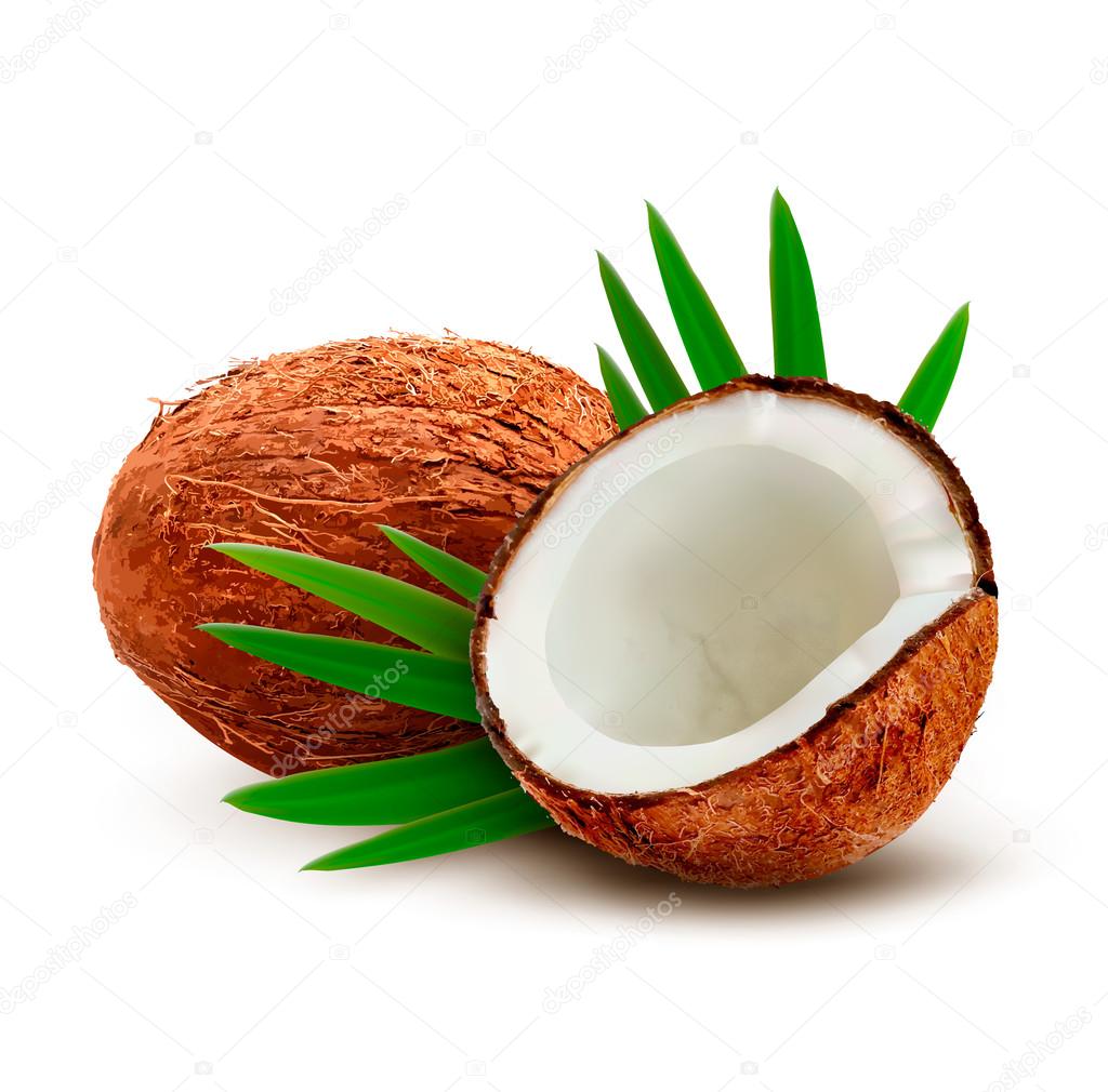 Coconut with leaves. Vector. Stock Vector Image by ©almoond #51675947