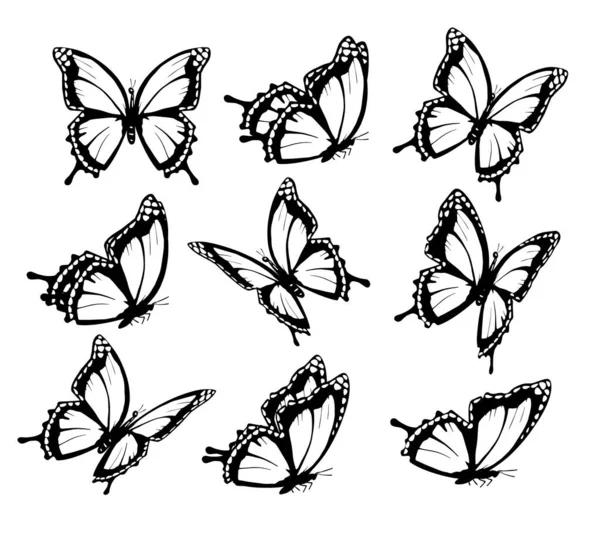 Kelebek Koleksiyonu Farklı Yönlere Uçuyor Butterfle Silueti Vektör — Stok Vektör