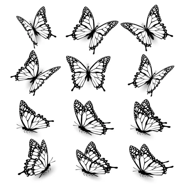 Collection Papillons Volant Dans Différentes Directions Silhouette Papillon Vecteur — Image vectorielle