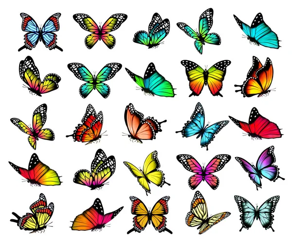 Colección Mariposas Colores Volando Diferentes Direcciones Silueta Mantequilla Vector — Vector de stock