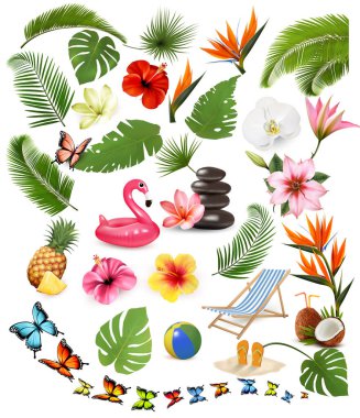 Egzotik ve tropikal yapraklar, bitkiler, çiçekler ve tatil malzemelerinden oluşan büyük bir koleksiyon. Vektör