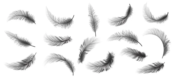 Big Set Black Realistic Different Fluffy Twirled Falling Feathers Isolated — Image vectorielle
