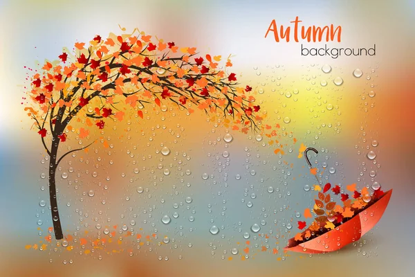 Hello Gold Autumn Autumn Landscape Colorful Leaves Tree Umbrella Park — стоковый вектор