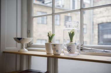 houseplants üstünde bir daire sayaç