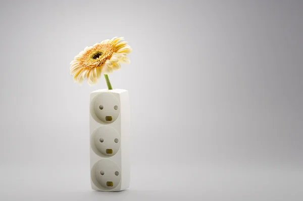 Single yellow Gerbera daisy in a vase — Stock Photo, Image