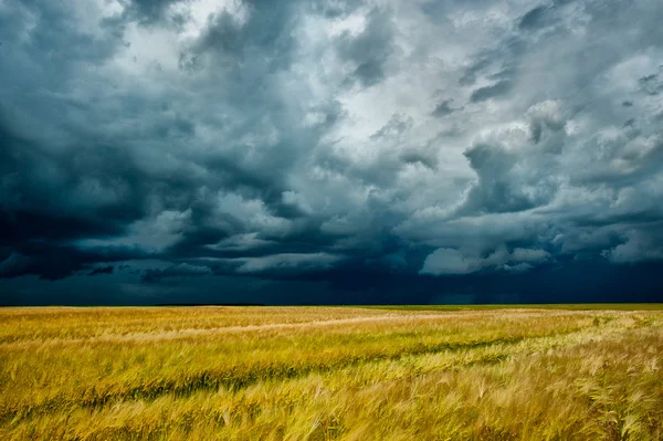 alanın üzerinde kara bulutlar fırtına
