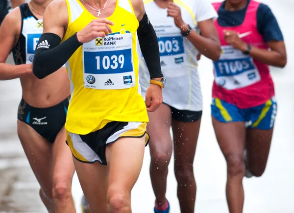 Bucharest, Romanya - 8 Ekim: tanımlanamayan maraton koşucusu