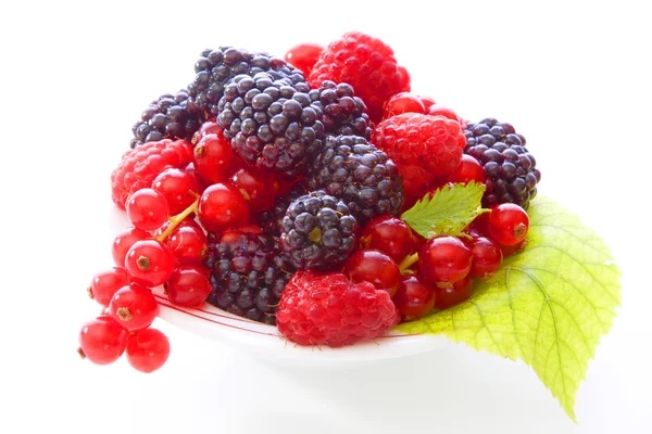 Fresh berry fruits — Stock Photo, Image