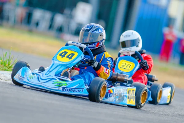 Ulusal karting Şampiyonası 2012 yarışan pilotlar