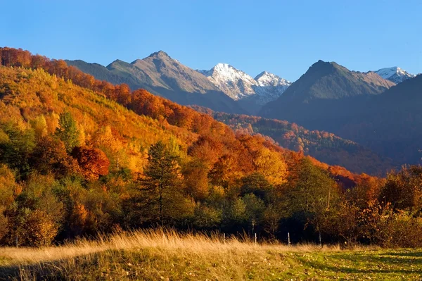 The mountain`s autumn landscape photo — Stock Photo, Image