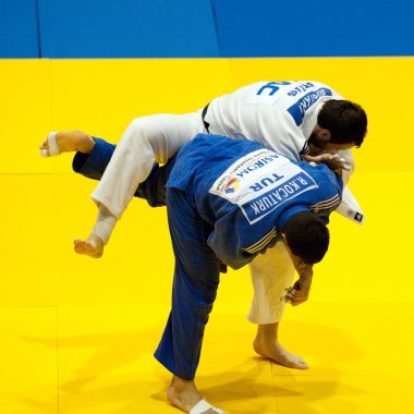 Yarışmacılar judo Dünya Kupası erkekler 2011 katılmak