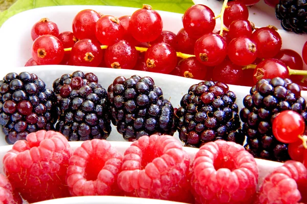 Färska bär frukt — Stockfoto