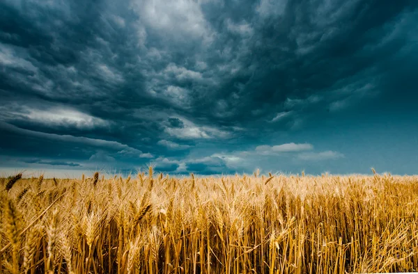 alanın üzerinde kara bulutlar fırtına